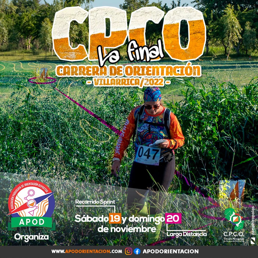 Art 24 Del Cpc